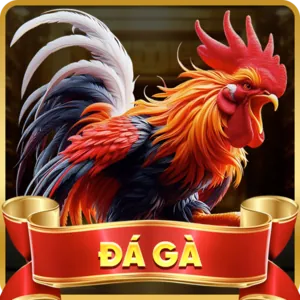 Người Thắng Lớn New88