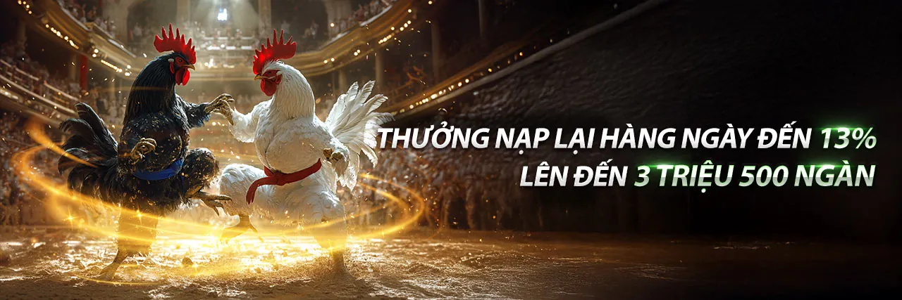 Hình ảnh chương trình hoàn trả hàng ngày New88 hấp dẫn