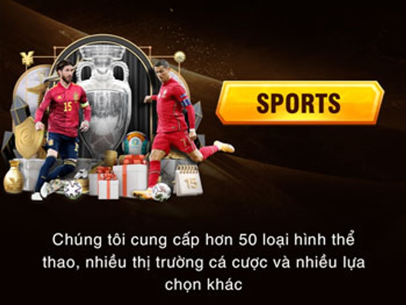 Cá cược Thể Thao tại New88