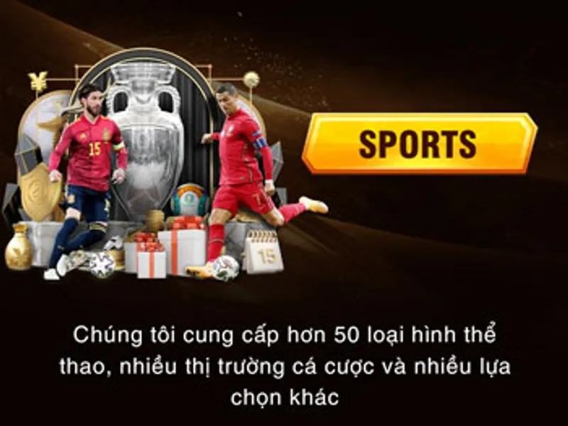 Cá cược Thể Thao tại New88